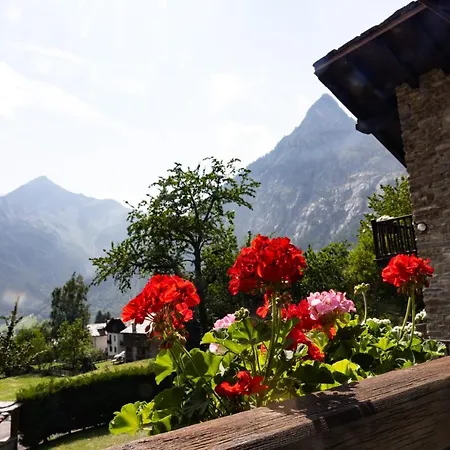 Apartment The Mountain View -