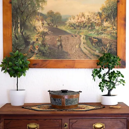 The Mountain View - Apartment