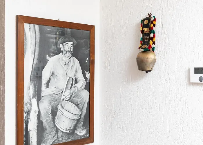 The Mountain View - * Курмайор