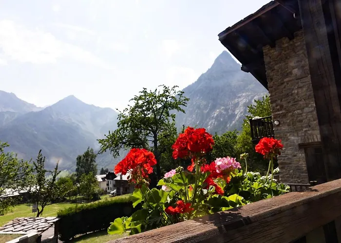 Apartment The Mountain View -