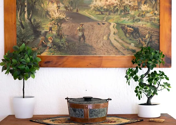 The Mountain View - Apartment