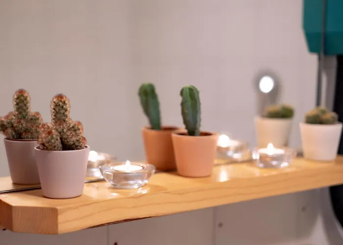 The Mountain View - Apartment *